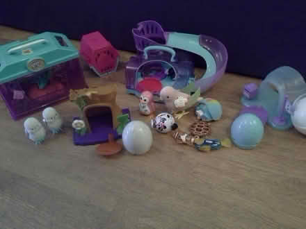 Photo of free Pets alive toys (Shenley Brook End MK5) #1