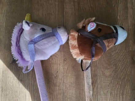 Photo of free Hobby horse (Shenley Brook End MK5) #1