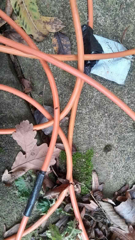 Photo of free Hedge cutter, damaged wire (Smiths Estate OX28) #3