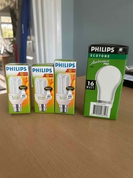 Photo of free Lightbulbs (Rayleigh SS6) #1