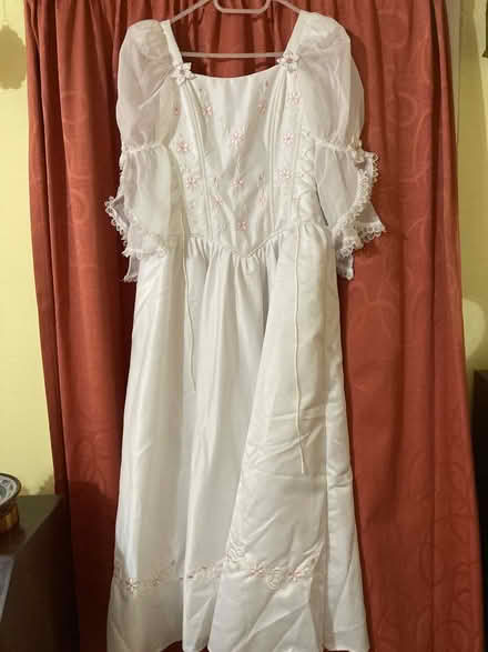 Photo of free Princess dress (Ock St Abingdon OX14) #1