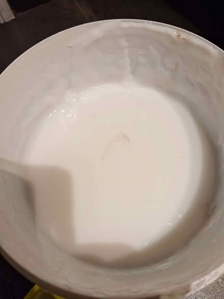 Photo of free Wallpaper paste (Great Baddow CM2) #2