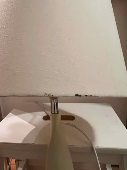 Photo of free Lamp (DE5 Codnor) #3