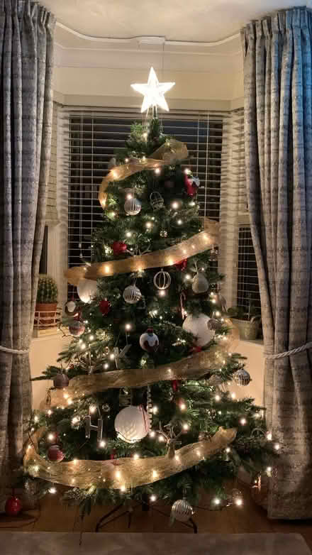 Photo of free Large indoor Christmas Tree (Hull HU5) #1