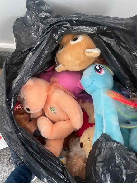 Photo of free 2 black bags of teddy bears (Southdown) #1