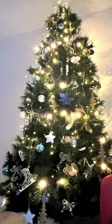 Photo of free Christmas tree (TN13) #1