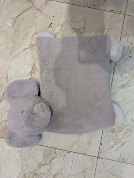 Photo of free Cute childrens Pillow (Queens Park BH9) #1