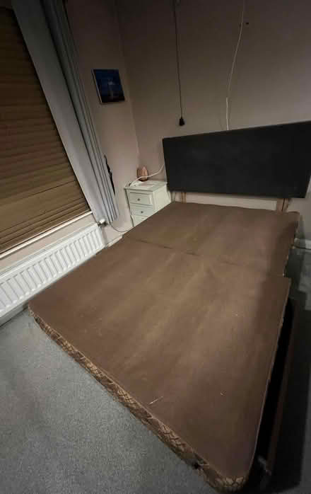 Photo of free Double Bed (Hillsborough Area BT26) #1