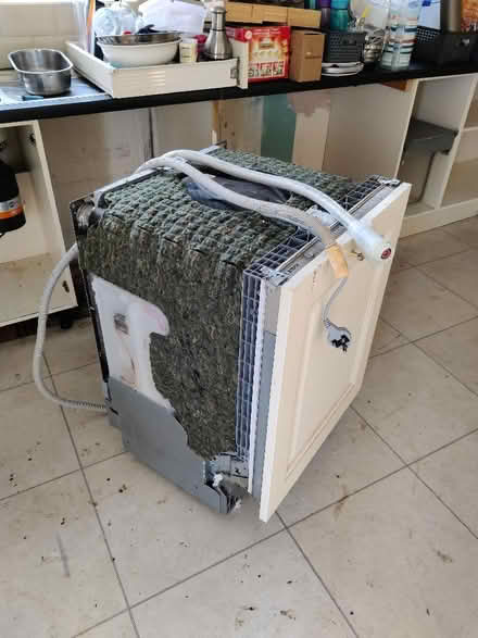 Photo of free Bosch built-in dishwasher (Gotherington GL52) #4