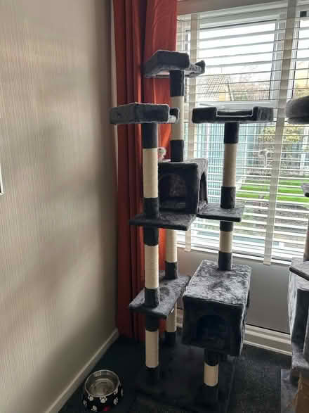 Photo of free Cat climbing frame (High Green S35) #1