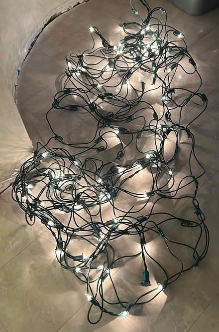 Photo of free 2 net shrub lights (Erin Mills) #2