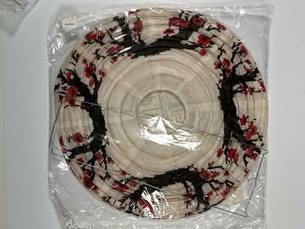 Photo of free Paper Lanterns with pattern (Midtown Palo Alto) #1