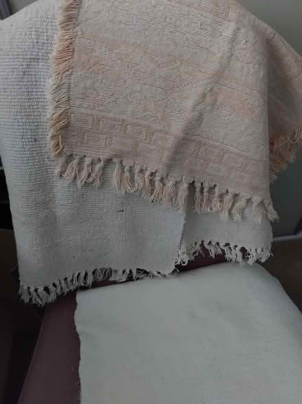 Photo of free Cotton rugs (Stubbington PO14) #1