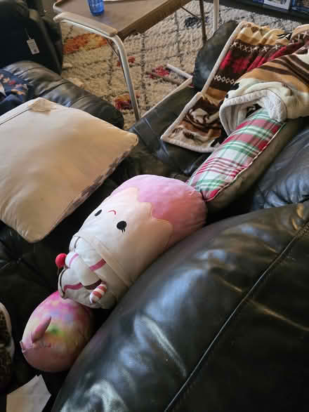 Photo of free L shape Coaches (Canton) #2