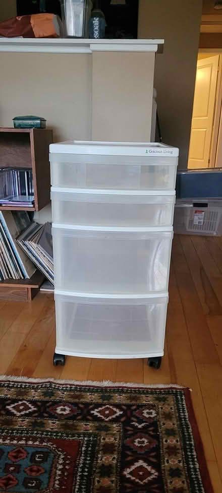 Photo of free Plastic storage cabinet - wheels (131 Wesley Avenue) #1
