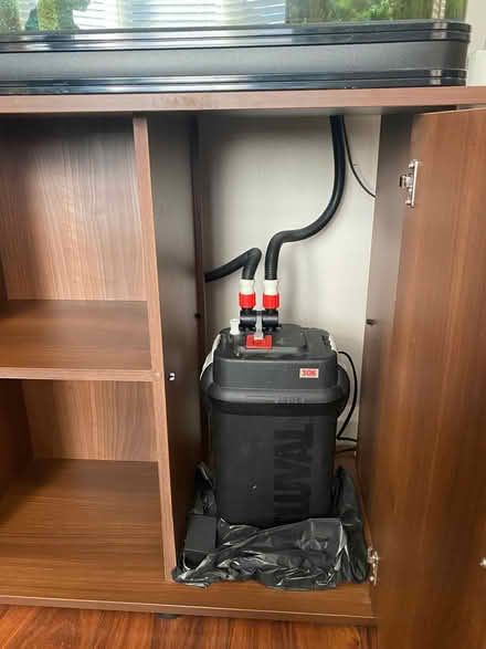 Photo of free Fish tank (Broxtowe NG8) #4