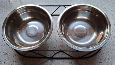 Photo of free Feeding Bowls (Wolverton, MK12) #2