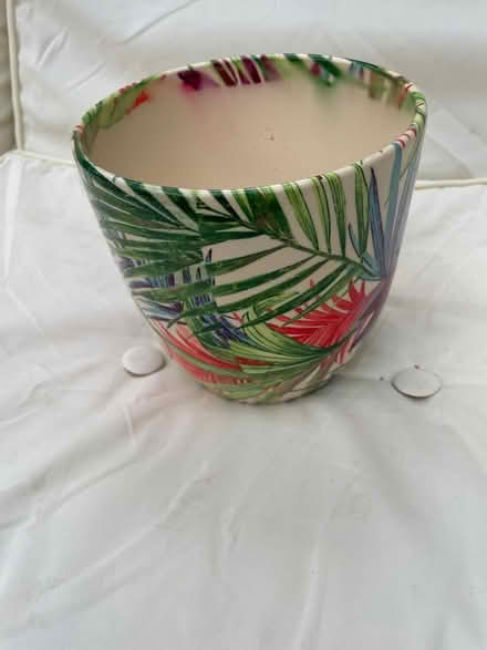 Photo of free Pot (Woking GU22) #1