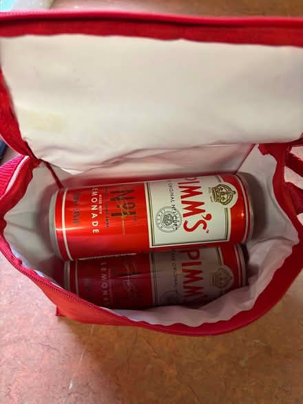 Photo of free Insulated Pimm’s bag (Billericay CM12) #2