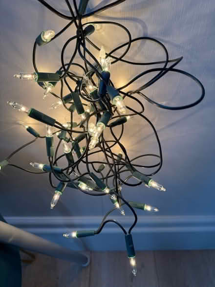 Photo of free Christmas lights (Billericay CM11) #2