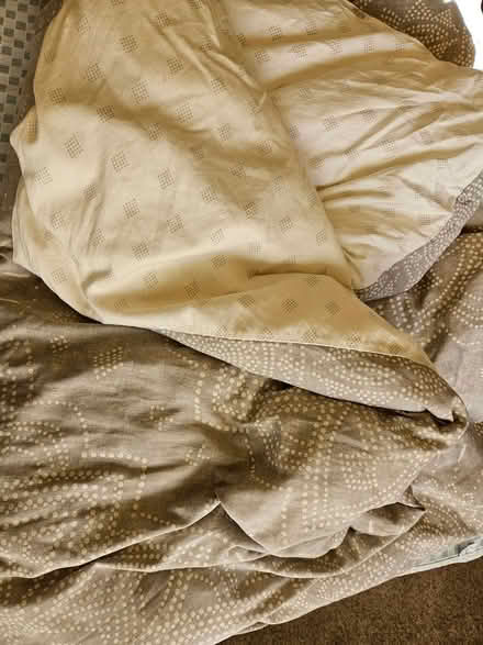 Photo of free XL twin duvet (Wallingford) #3