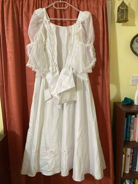 Photo of free Princess dress (Ock St Abingdon OX14) #2