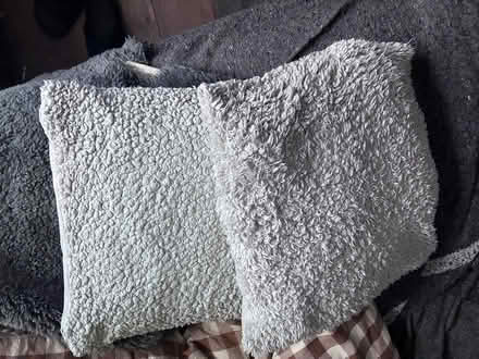 Photo of free Cushions (Trinity Frome) #2