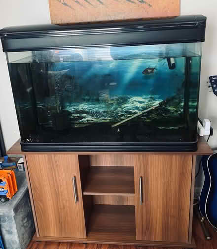 Photo of free Fish tank (Broxtowe NG8) #1