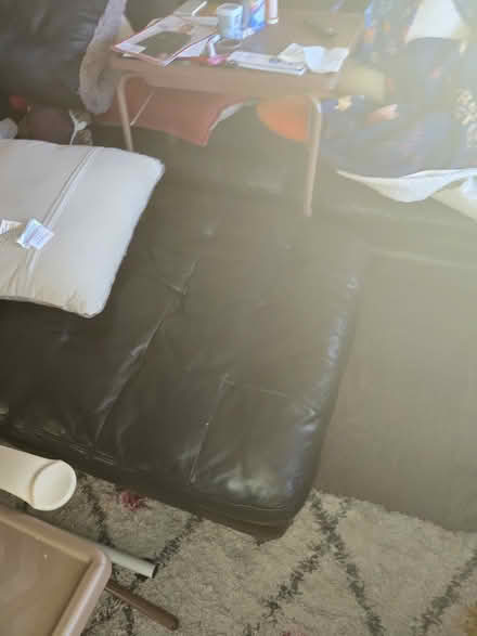 Photo of free L shape Coaches (Canton) #3