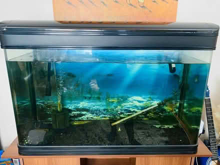 Photo of free Fish tank (Broxtowe NG8) #3