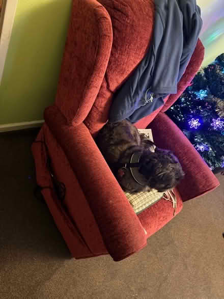 Photo of free Rise and recline chair (Seaton Delaval NE25) #1