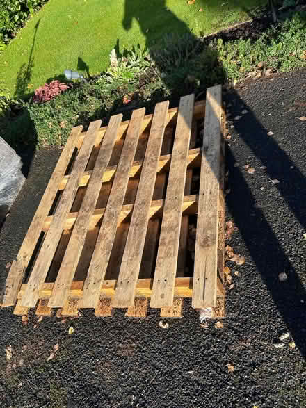 Photo of free Pallet (Clayton Green PR6) #1