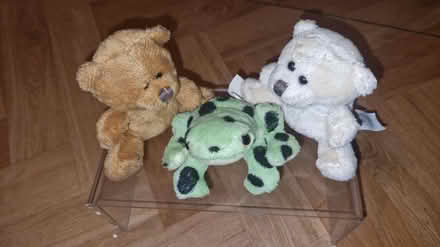Photo of free 3 mini teddies (Lambeth SW8) #2