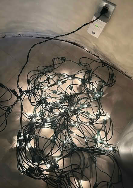 Photo of free 2 net shrub lights (Erin Mills) #1