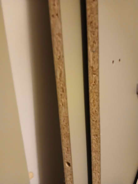 Photo of free Plywood (Bexhill-on-Sea) #2