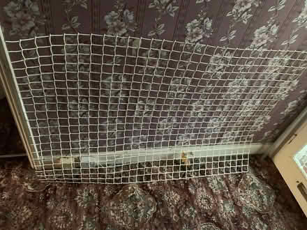 Photo of free Mesh (Chapelfields Coventry) #1