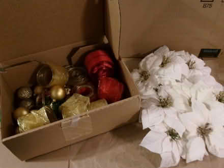 Photo of free Christmas Decorations (Northwest Frederick) #3