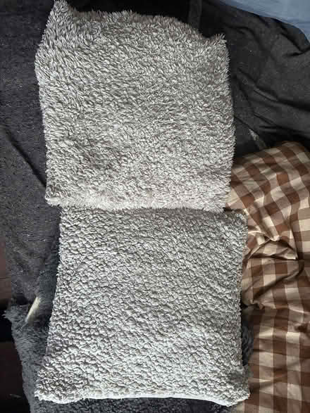 Photo of free Cushions (Trinity Frome) #1