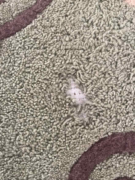 Photo of free 5x7 rug (Hillcrest, Little Rock) #2