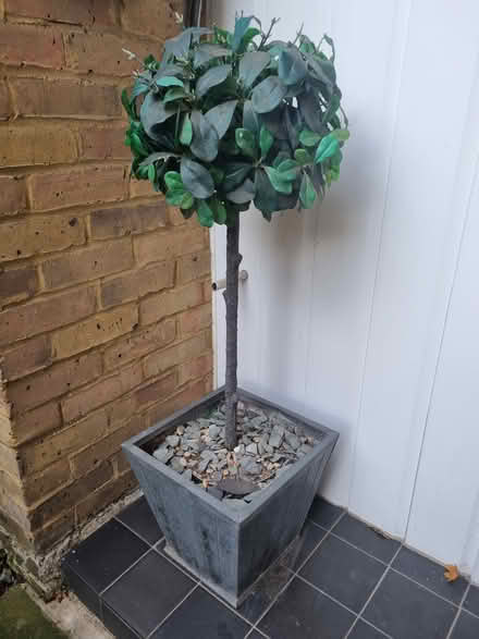 Photo of free Plastic outside plant in pot (Hurst Park, Molesey KT8) #1