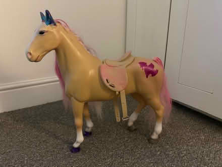 Photo of free Horse and a house (BL8) #2