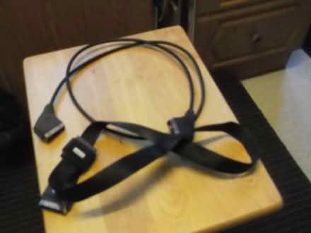 Photo of free Two spare Scars leads. (Walton) #1