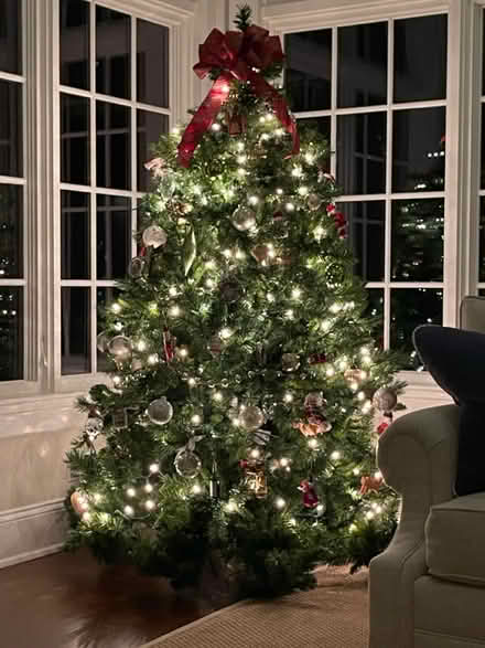 Photo of free 6 foot Christmas tree pre-lit (Princeton) #1