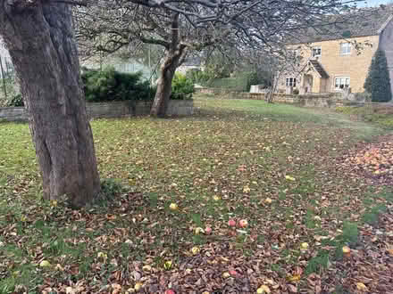 Photo of free More apples! November 20th (Eastbourne BN20) #1