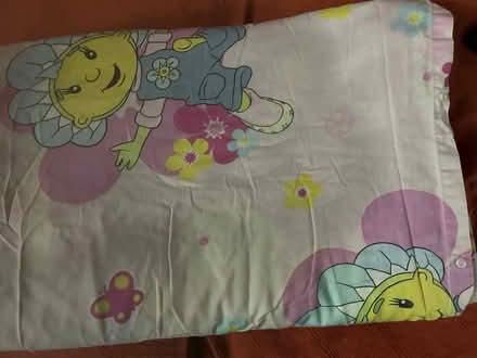 Photo of free 3 single Duvet covers, 1 Double (Peachcroft OX14) #3