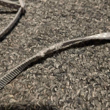 Photo of free Small animal harness and lead (New Town CO1) #2