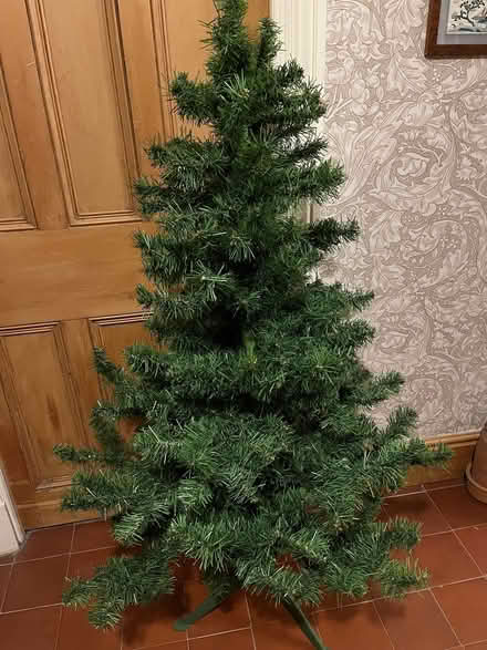 Photo of free Christmas Tree (Dolphinholme LA2) #2