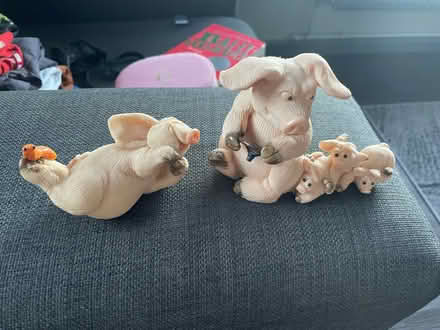 Photo of free Piggins (Thringstone LE67) #1