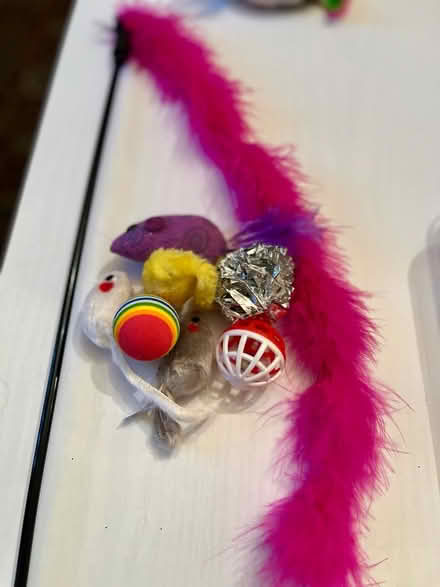 Photo of free Cat toys (WN7) #1
