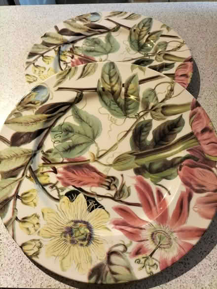 Photo of free 2 large plates (Arnold NG5 9QP) #1